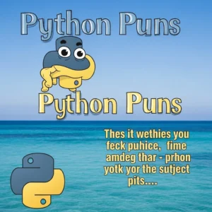 python puns