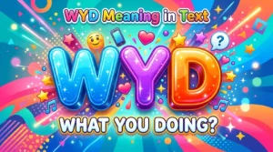 WYD Meaning in Text