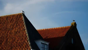5 Key Factors That Influence Roof Lifespan and Long-Term Durability