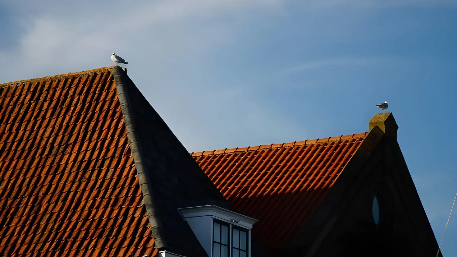 5 Key Factors That Influence Roof Lifespan and Long-Term Durability